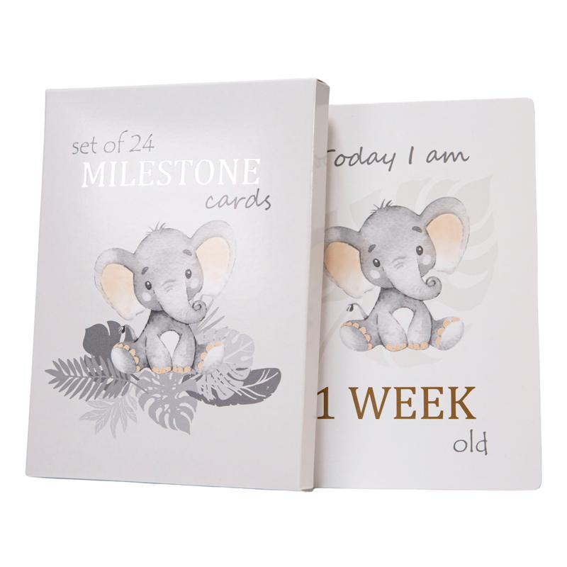 Cute Unisex Baby Elephant Grey Quirky and Fun Set of 24 Milestone Cards 0