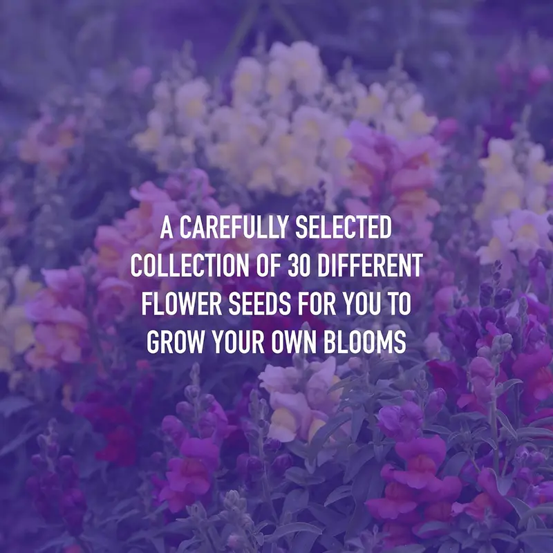 Product Introduction of Flower Seed Variety Pack - 30 Different Varieties of Flower Seeds to Grow Your Own. Butterfly and Bee Attracting, Grow Indoor and Outdoor. Christmas Gifts for Women and Men 7