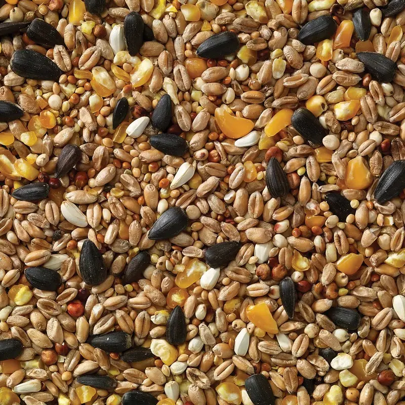 Premium Wild Bird Seed - 20KG Bulk 0