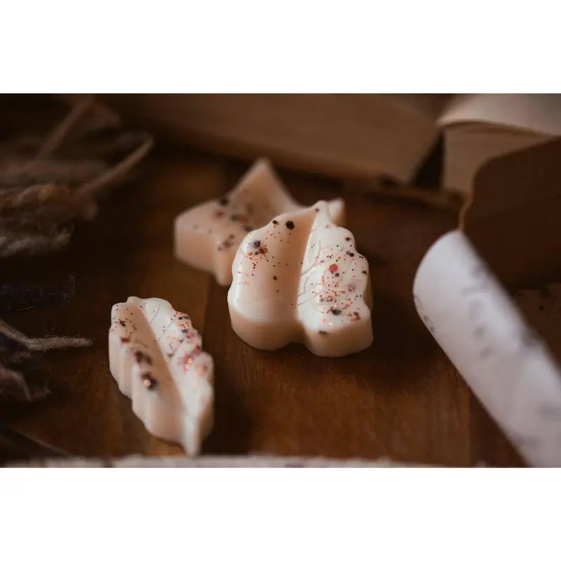 Autumn Spice Scented Leaves Shaped Wax Melts 4