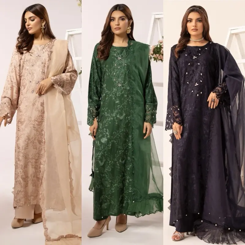 Embroidered linen kameez with embroidered organza dupatta - Womenswear