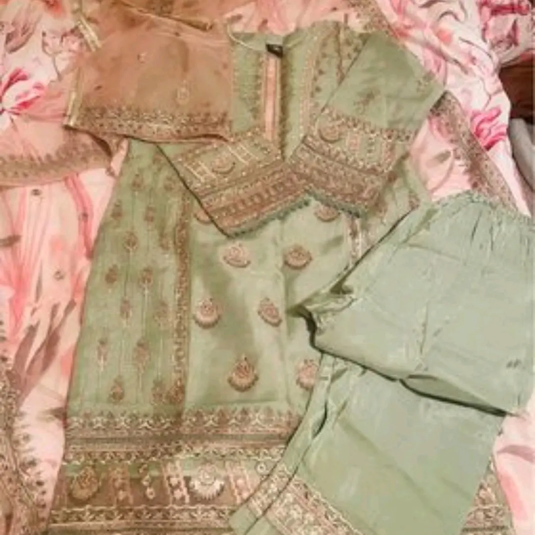 Organza embroidered suit