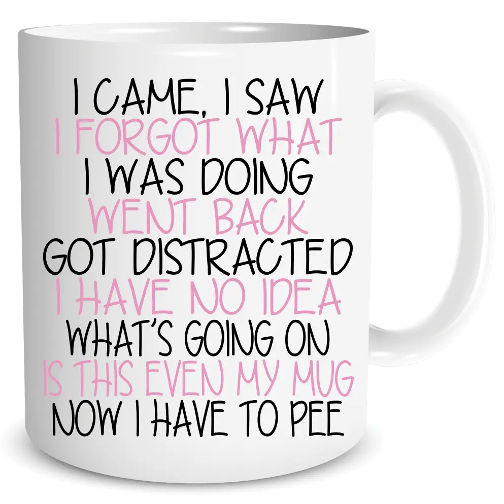 Peachy Antics Funny Sarcastic Mug I Came I Saw I Forgot What I Was Doing Birthday Christmas Funny Gift For Her Novelty Gift For Mum Sister Friend Secret Santa Gift Joke 10oz PM180 Drinkware Washable Ceramic Reusable Reuse Drink Cup Tumbler Coffee