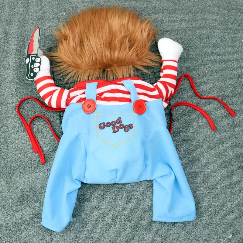 A dog transforms into a funny costume for a large dog in a wig for Halloween pets 5