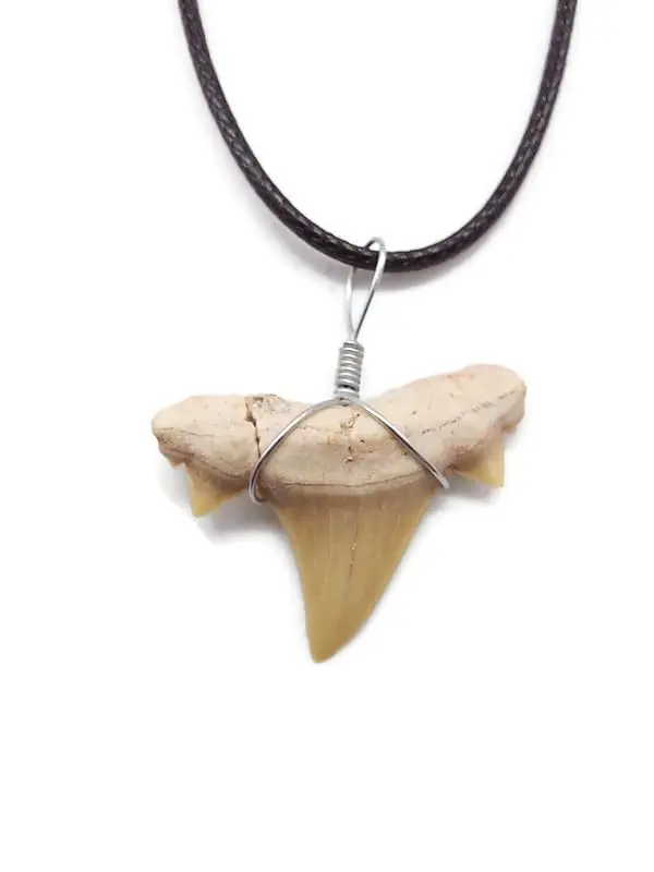 Natural Fossilised Shark Tooth Pendent Necklace In A Velvet Gift Bag Gift For Him Or Her