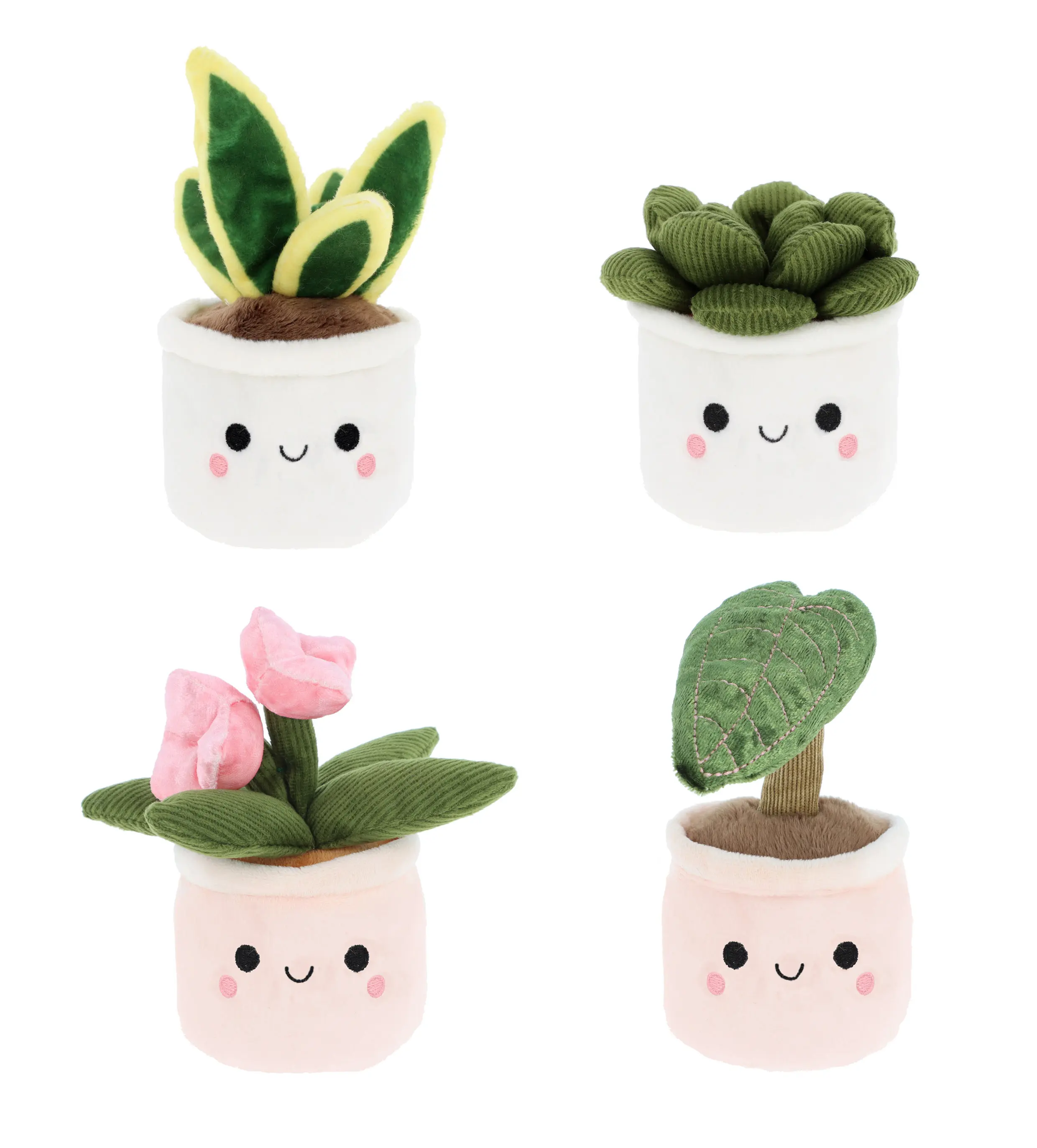 Keel Toys 12cm and 30cm Succulent Plant Bobballs Beanie Plush Toy 4 designs to collect in 2 sizes