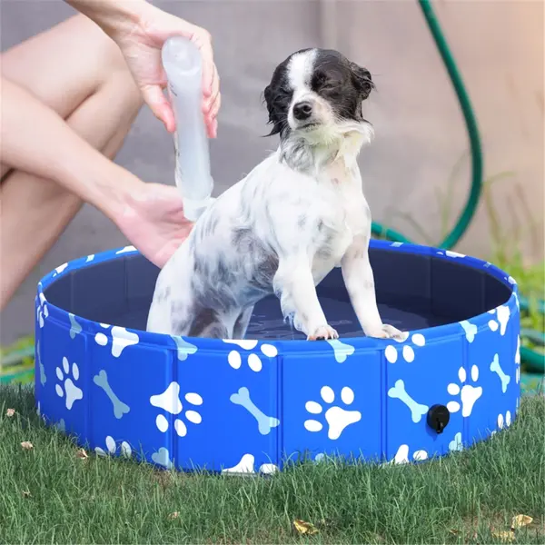 Dog Pool 0