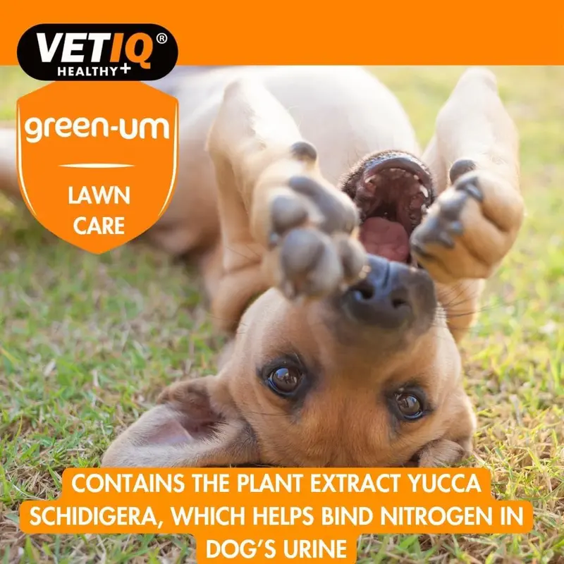Mark And Chappell Ltd VetIQ Green-UM Lawn Burn Solution, one size, MCH0140 3
