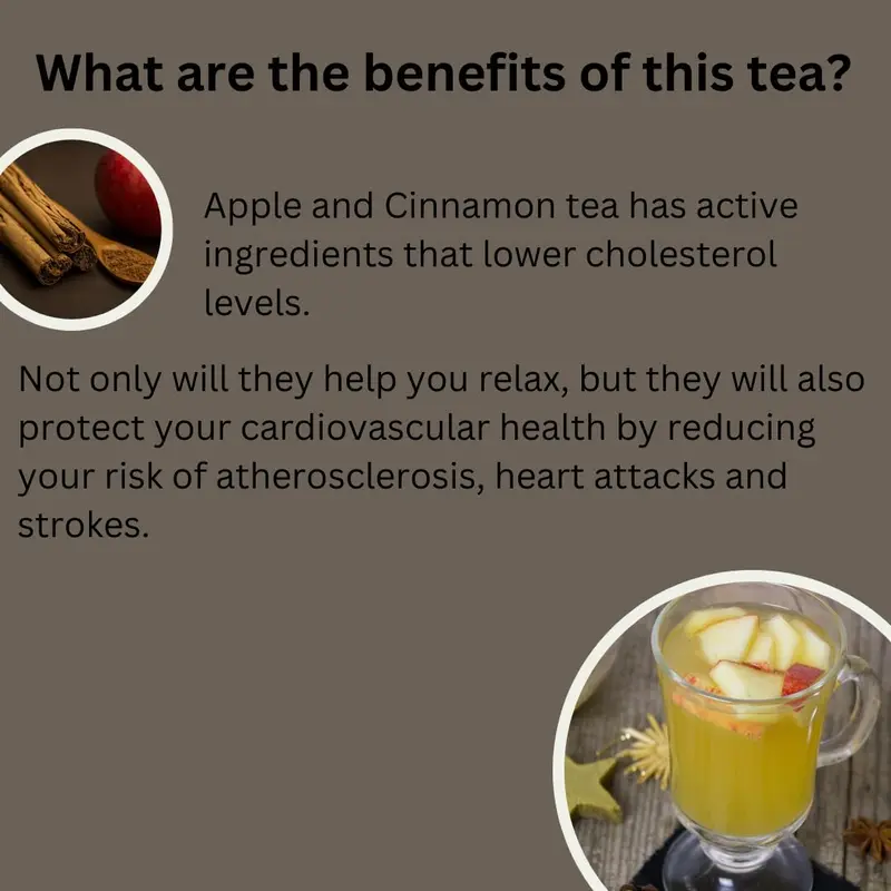 Premium GT Herbs & Fruits Herbal Tea 20 Tea Bags 1.5g (Apple & Cinamin) 3