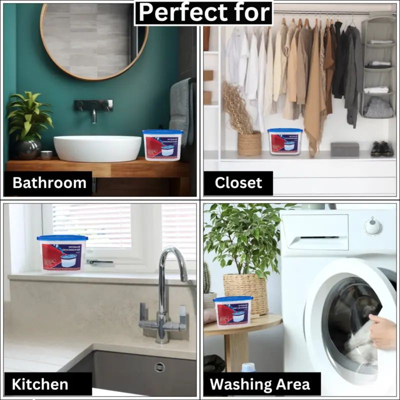 10 X Dehumidifier Interior Damp Trap Mould Moisture Mildew Remover Caravan Home Pack 7