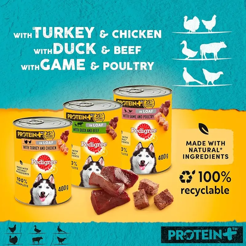 Pedigree Dog Food Tins | Protein + Plus (25% Extra Protein) | Complete Wet Food for Adult Dogs | High Quality, Natural Ingredients | Bulk Buy Deals Available | Turkey, Chicken, Duck, Beef, Game & Poultry Flavours in Pate Style Loaf 5