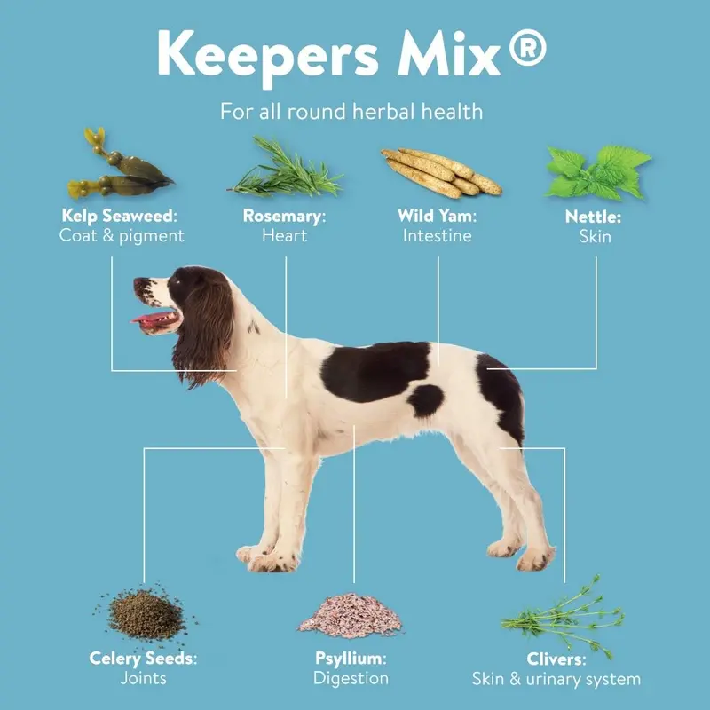 DORWEST HERBS Keeper’s Mix, 500g, Herbal Health Supplement for Dogs and Cats, Natural Herbs, Vitamins, and Minerals – for Healthier Happier Pets, Brown, 14DOR041 8