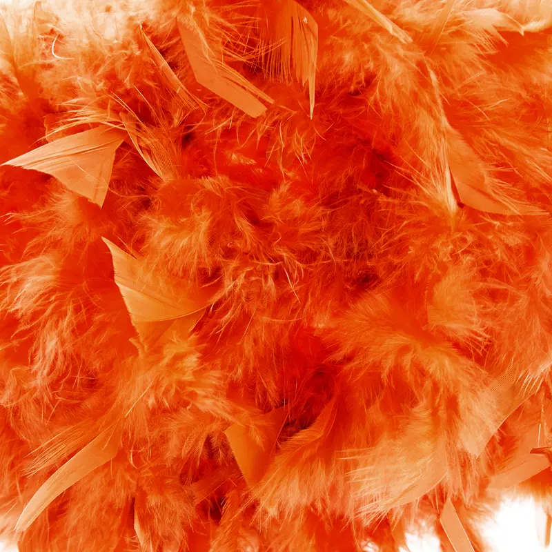 Eye-Catching and Modern Small Orange Feather Decorated Pendant Lighting Shade 1