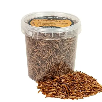 Walter’s Meal Worms (1L Tub) - Dried Mealworms for Birds, Bird Food in Stay Fresh, Easy Tubs 2