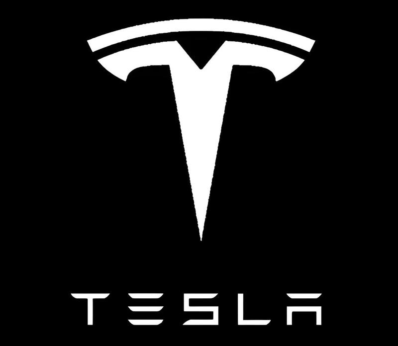 2Pcs Tesla Car Door Projector Light LED Logo Projector for Model 3/S/X/Y 2