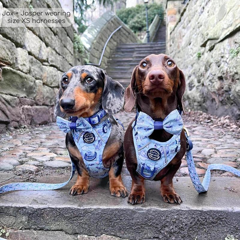 Disney© Tough Trails™ Harness - Eeyore 7