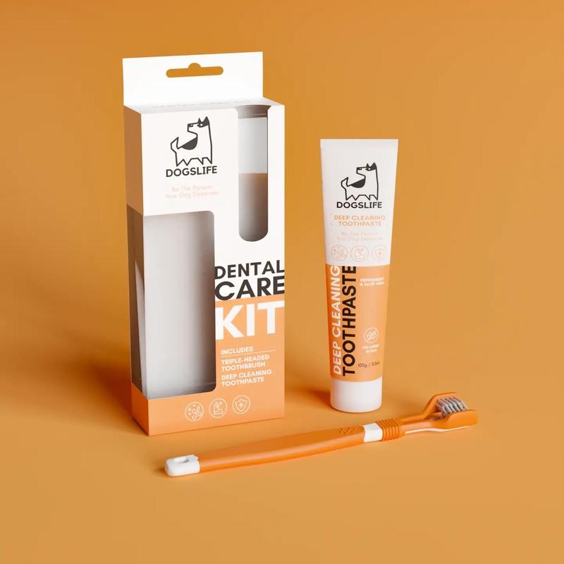 Product Introduction of Dog Dental Care Kit for Pet Health and Safety 7