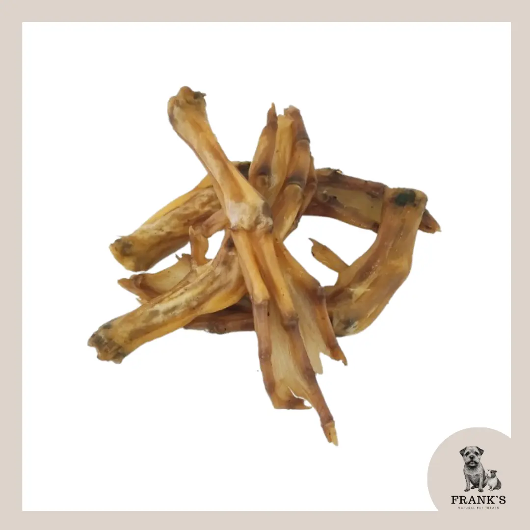 Duck Feet | Natural Dog Treats, High Protein, Hypoallergenic, Low Fat