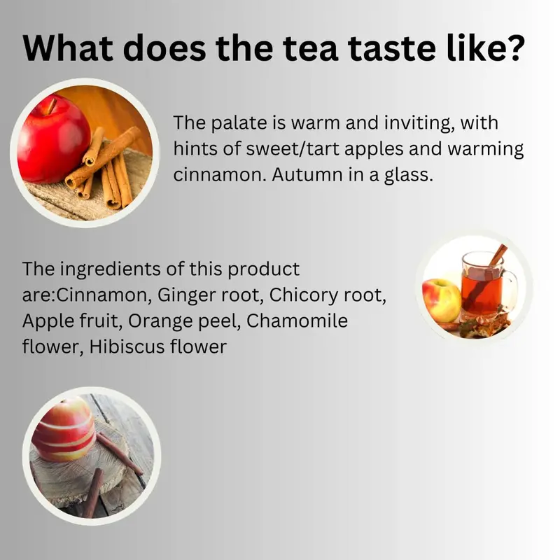 Premium GT Herbs & Fruits Herbal Tea 20 Tea Bags 1.5g (Apple & Cinamin) 2