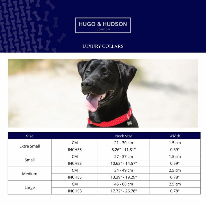 Product Introduction of Reflectivez Hooded Dog 0