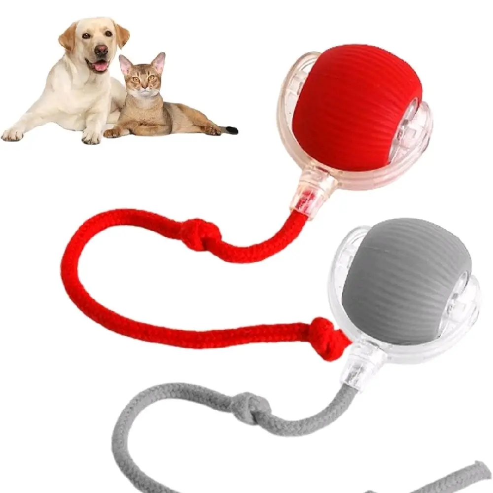 Interactive Rolling Cat and Dog's Ball for Playful Pets