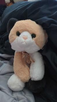Product Review of Super Soft Eco Flopsie Plush Collection from V** 🏳**🌈 💚** 0