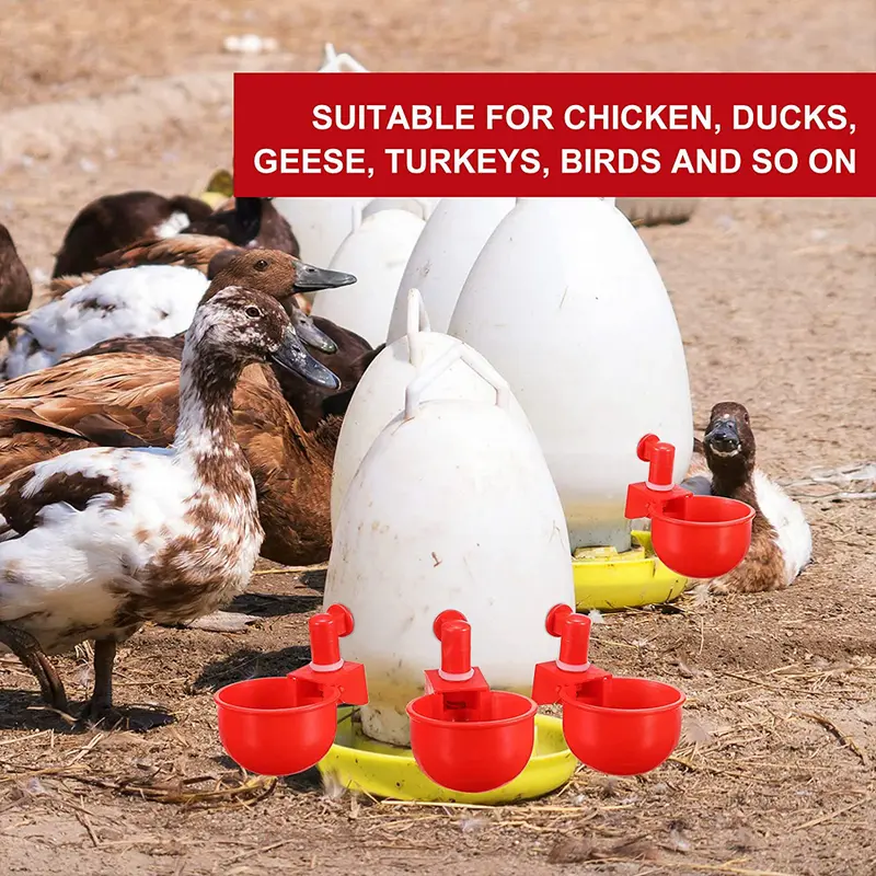 1PC Automatic Chicken Water Cup Waterer Poultry Drinking Bowl Feeder Drinker Tool 1