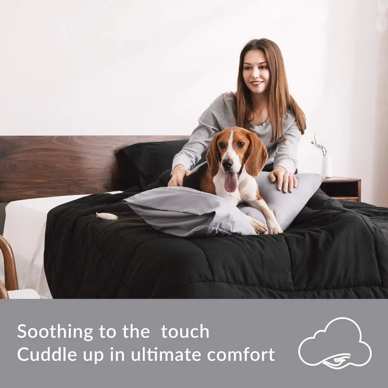 Trend & Bend  Microfiber Multicolor Pillowcases Pack of 2 & 4 - Breathable, Soft and Durable Pillow Covers - UK Standard Size (50x75cm) Plush Support 5
