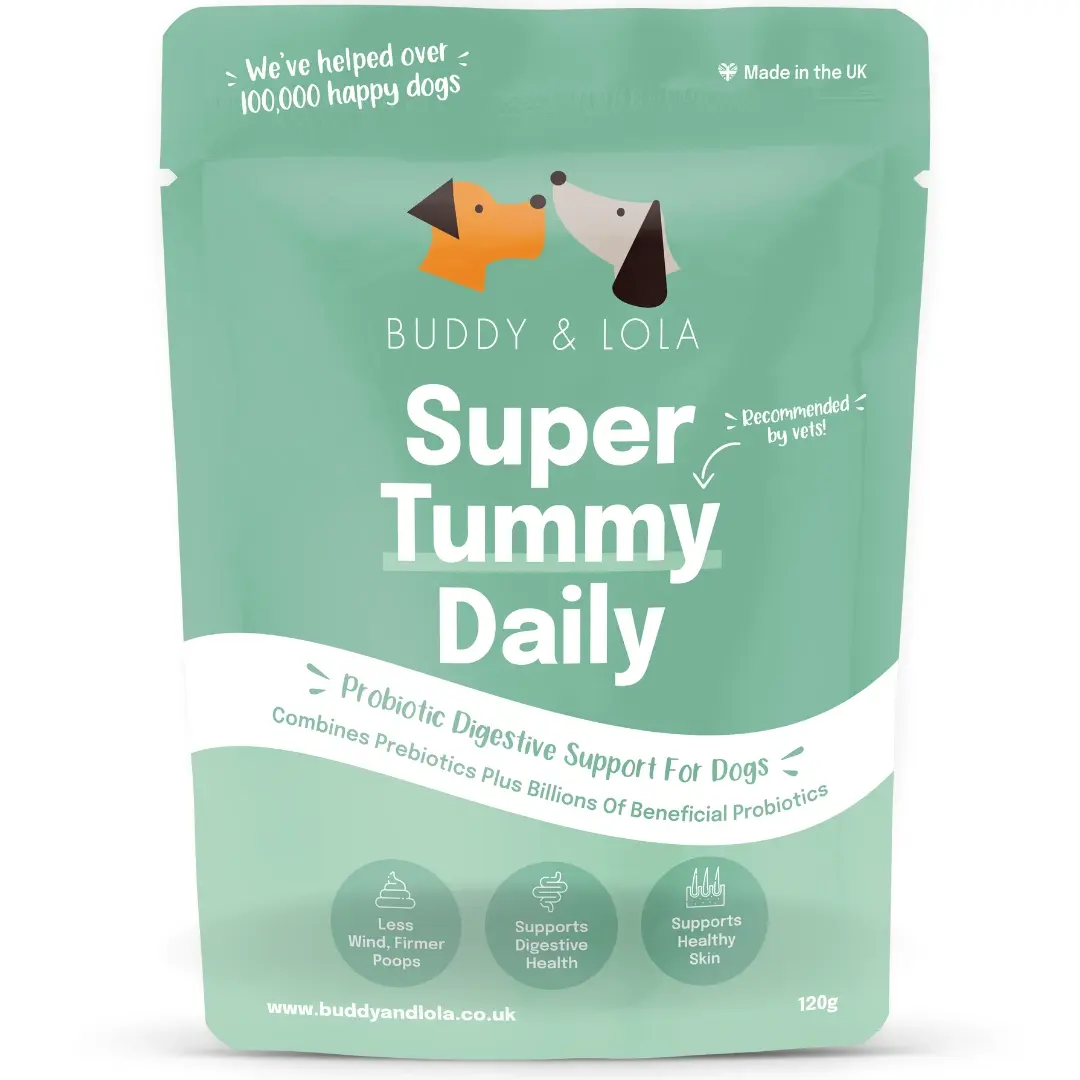 Buddy & Lola | Probiotics for dogs | Supports firmer stools, less wind, itchy skin, allergy support and overall health | Daily Probiotic Powder for Dogs | Gut Health Supplement for Dogs | Supports Healthy Skin & Coat