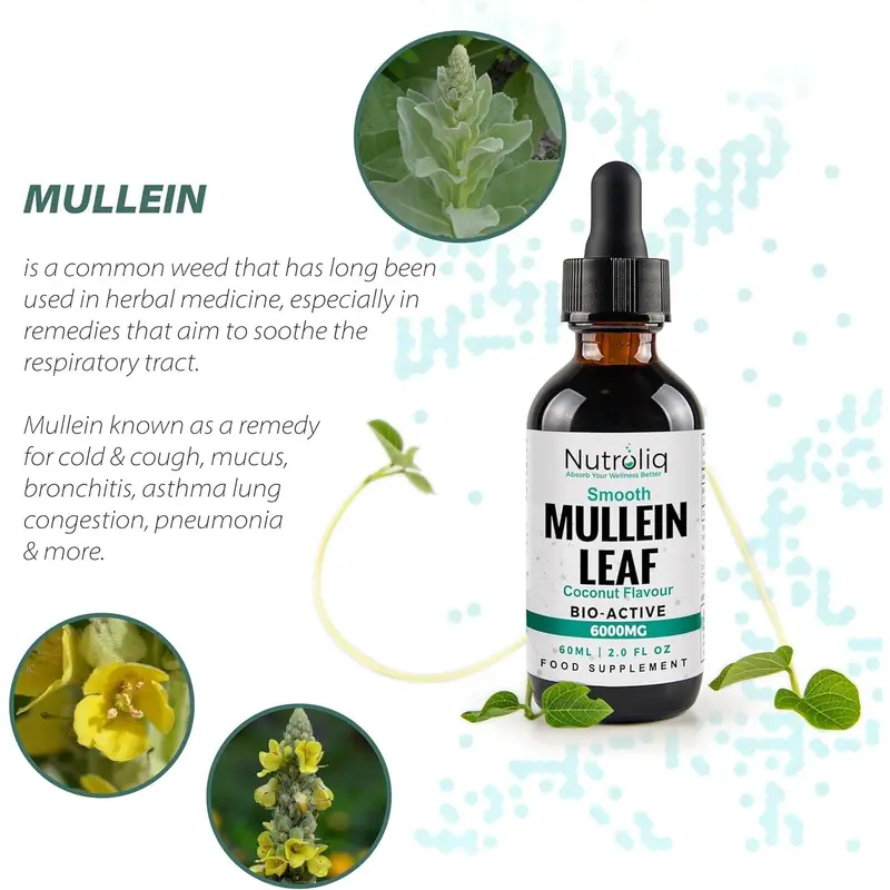 Nutroliq Mullein Leaf 50:1 Extract Drops - 60ml 5