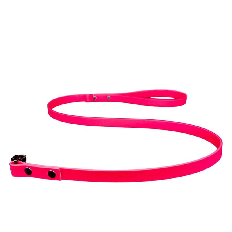 Biothane Dog Lead | Strong Webbing with Waterproof Rubber Coating | Sizes from S to L | All colours available 6