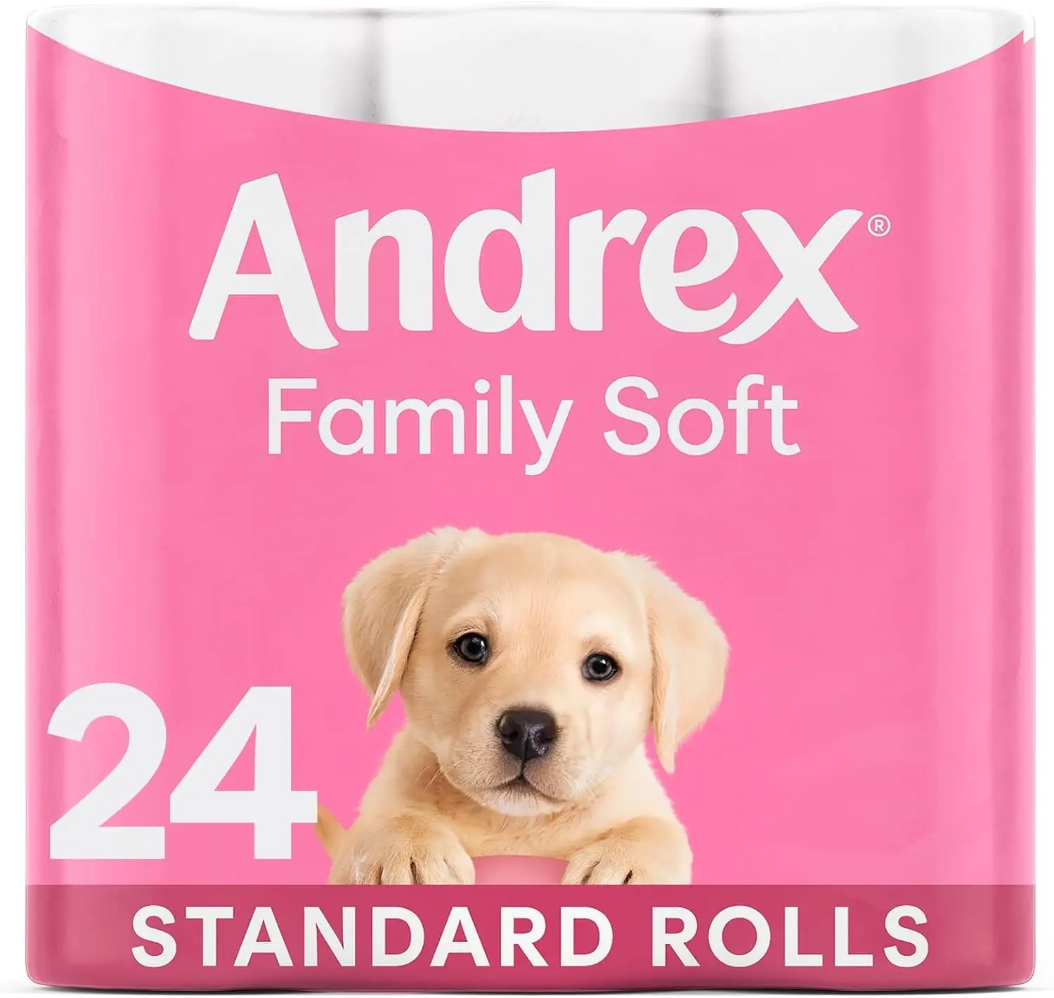 Andrex Family Soft Toilet Tissue 24 Standard Toilet Rolls Wipes   |   Andrex Soft Tissue household, Toilet Tissue 24  Rolls wet  toilet   [Fast  Delivery]
