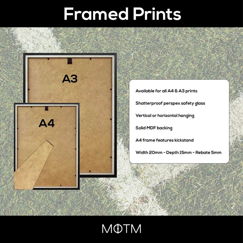Roy Keane Legend Stats Football Print 3