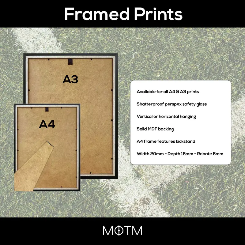 Roy Keane Legend Stats Football Print 3