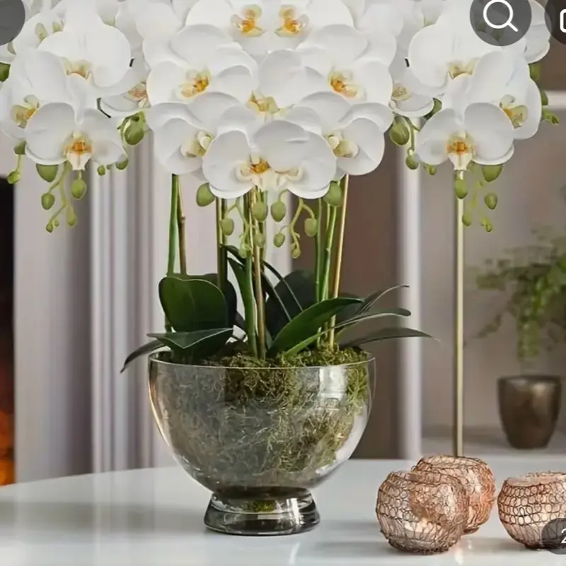 Decorative Lifelike Artificial Orchid for Home Office without  the vase 1