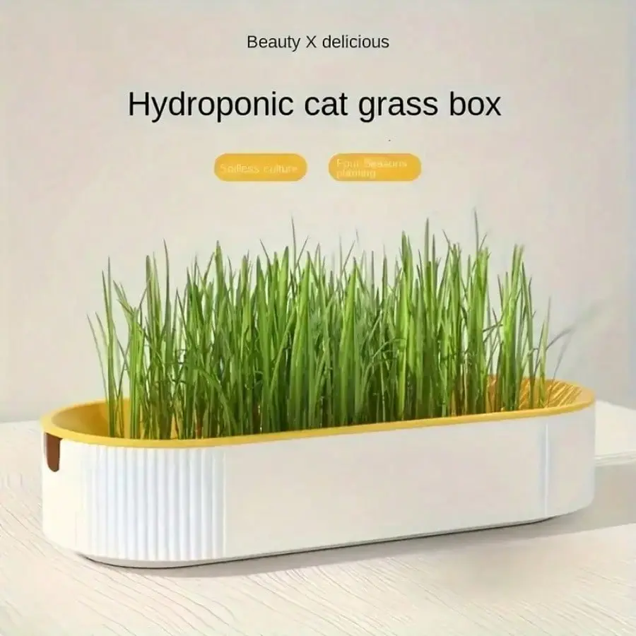 【Cat grass box】Reusable And Environmentally Friendly 1pc Supplies Catnip Snacks & Mint Plant Hydroponic Box Cat Grass Basin & Box Set Without Seeds Reusable Environmentally Friendly 2025 New