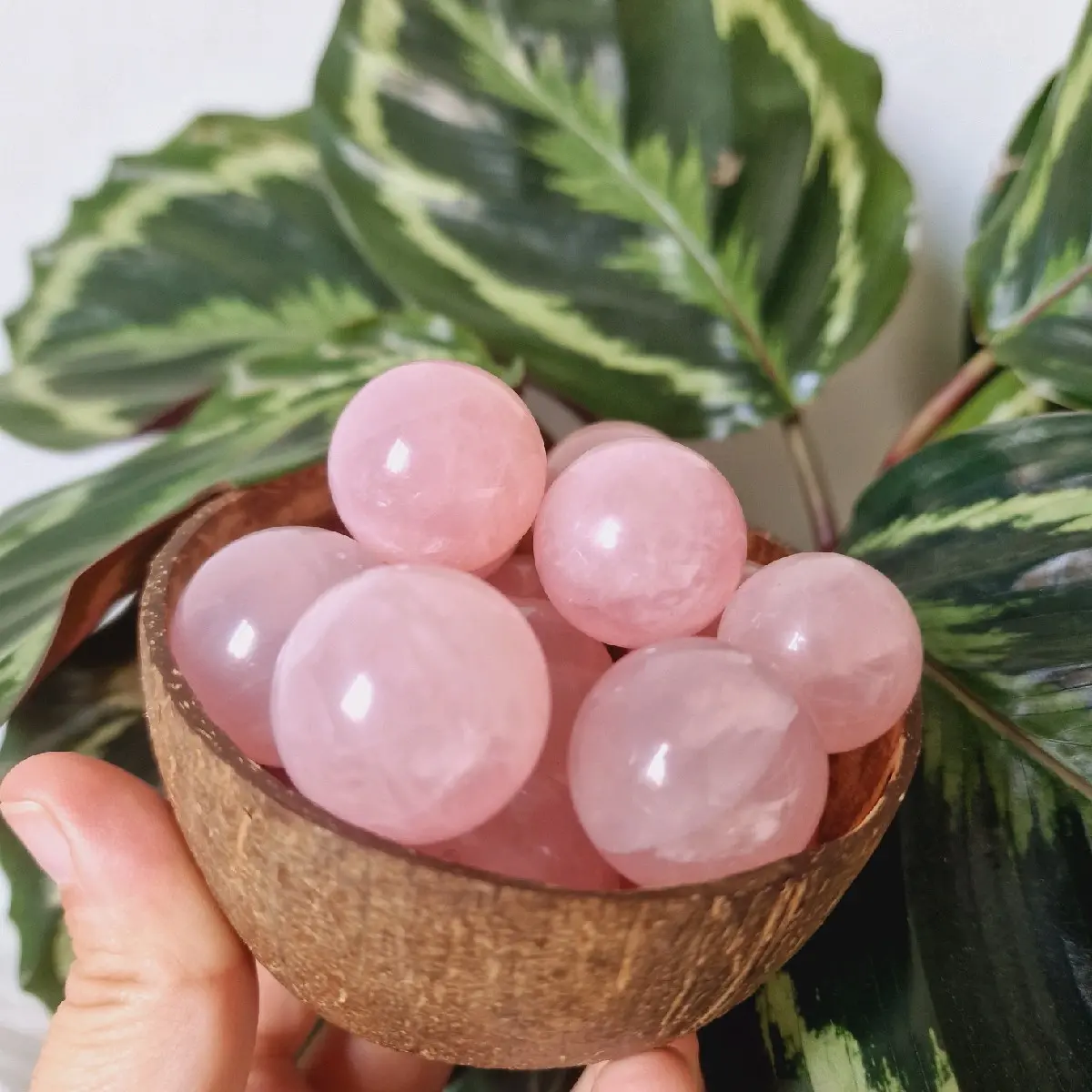 Small Rose quartz spheres (1pc)