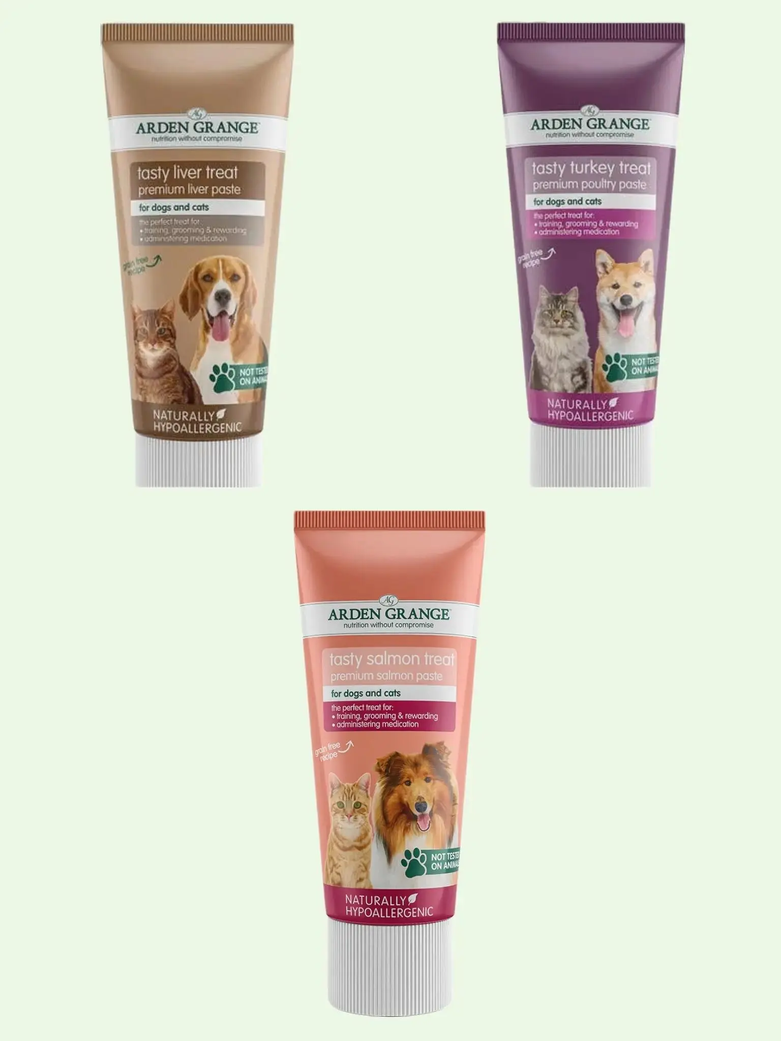 Arden Grange Tasty Paste For Dogs - Various Flavours