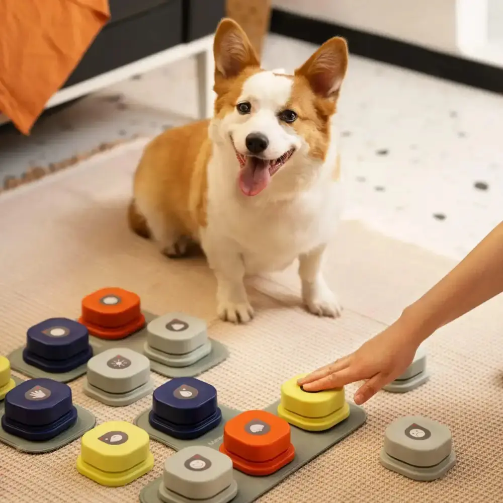 Interactive Talking Button For Dogs - 5 Customizable Commands, Easy-Paw Press Training Set