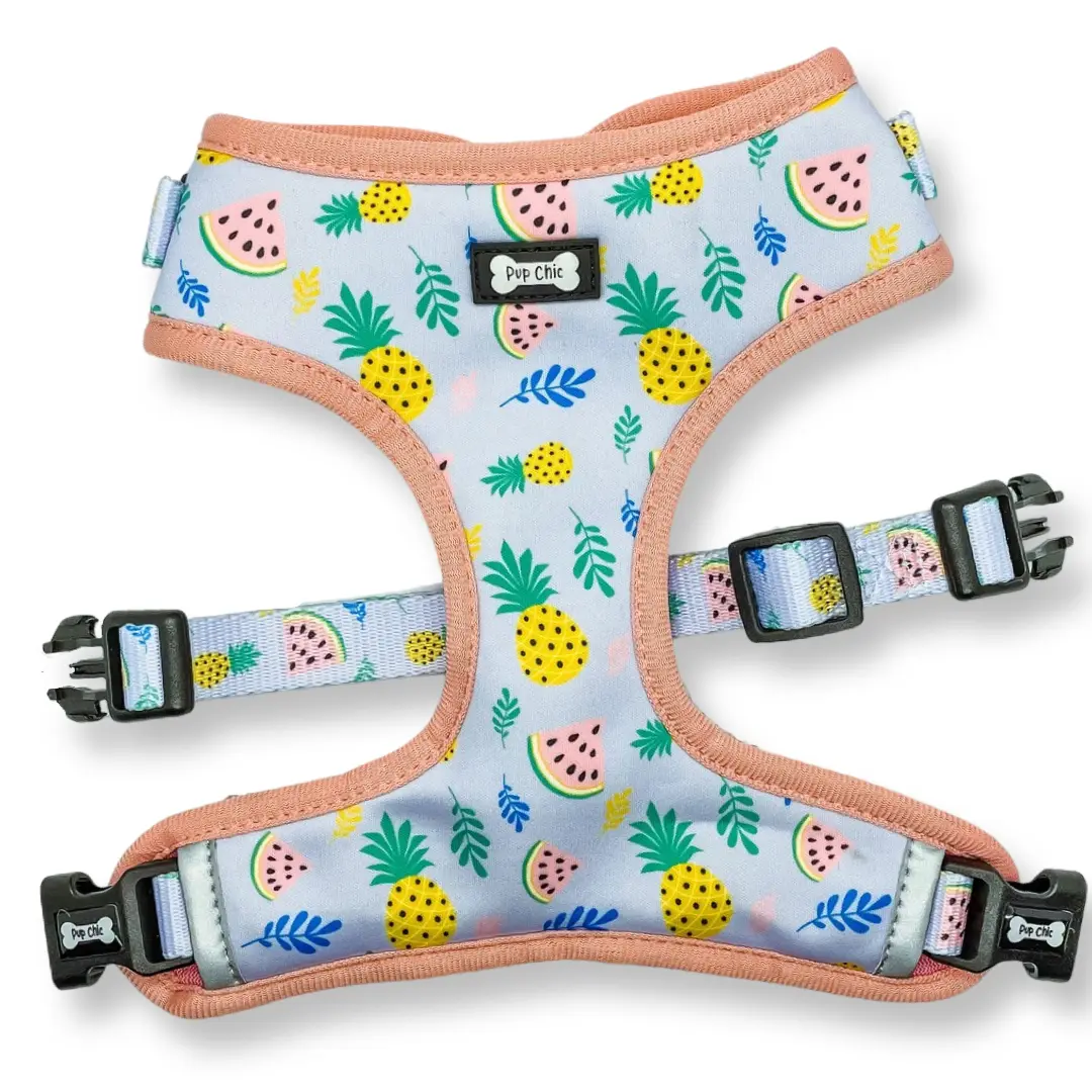 Cutie Fruity Adjustable Dog Harness – Final Clearance (Only Size XL Left!)
