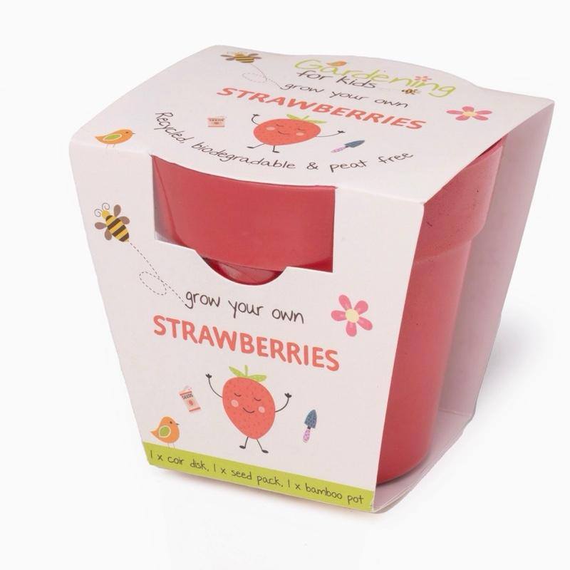 Children’s Grow Your Own Strawberries Growing Kit, Gardening for Kids Ltd 1
