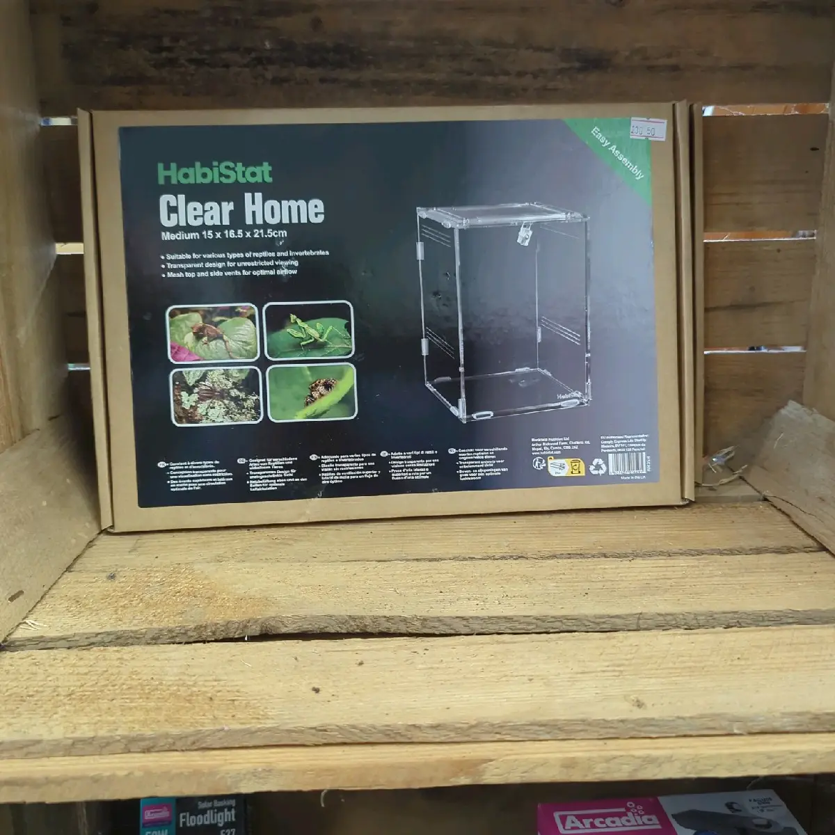 Habistat spider clear home medium
