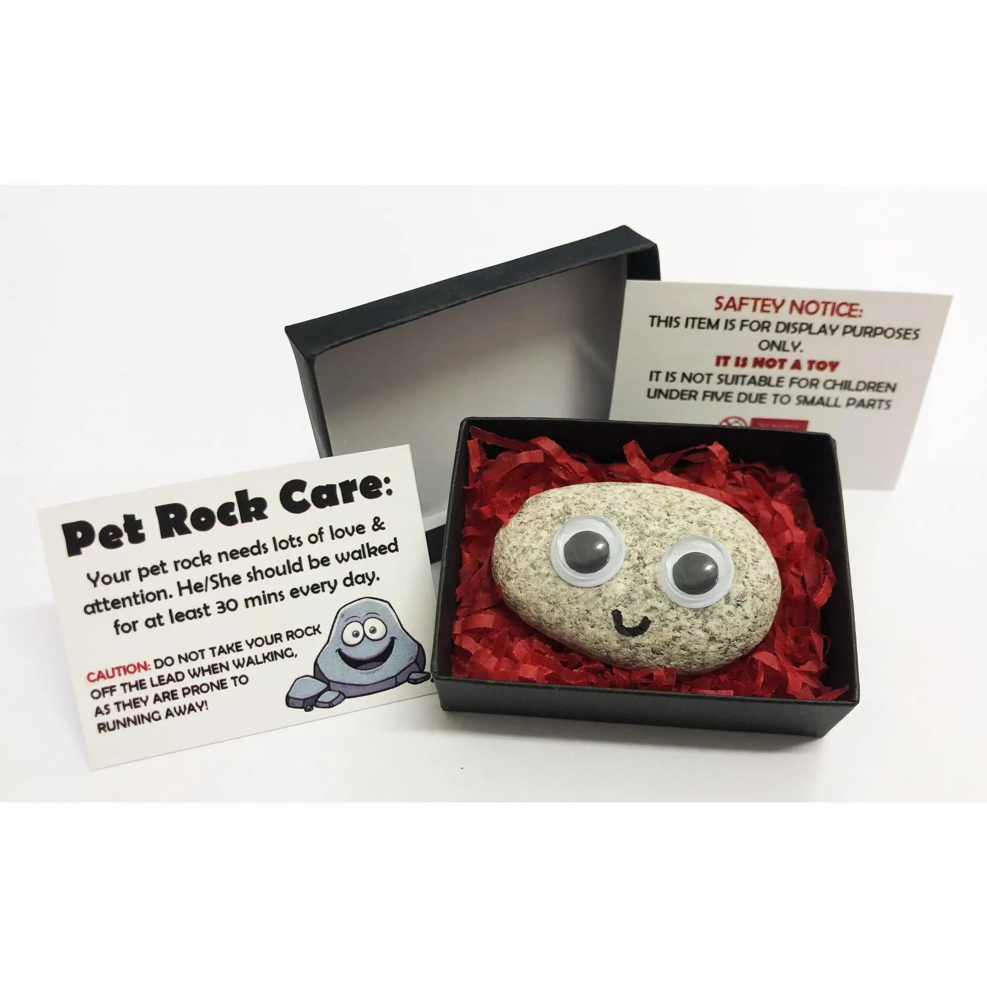 Pet Rock - Novelty Gift Idea - Ideal For Birthday Presents, Wedding Favours, Party Bags etc