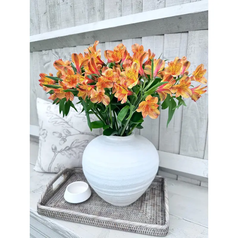 Orange Alstroemeria Bouquet - Floralty Collection - Bigger Flower Bouquets - Fresh cut flowers, Decorative, premium gifting 1