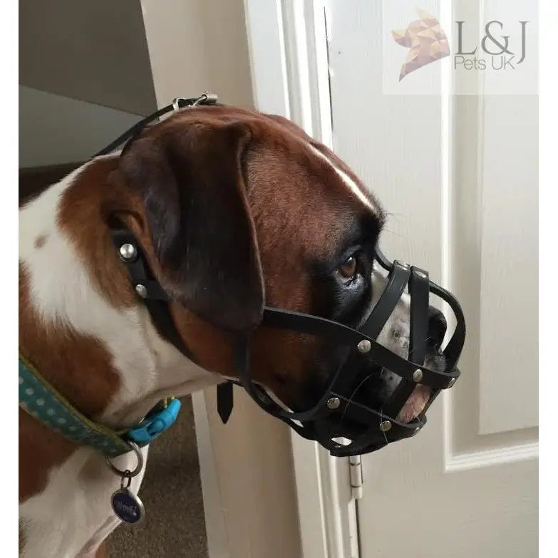 Leather Dog Muzzle for Boxer and Other dogs with short snout
