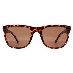 Police Sunglasses SPL357 Blackbird Light 2 878P Matte Dark Havana Brown for Male - Menswear - Mens - Sunglasses - Eyewear - Summer