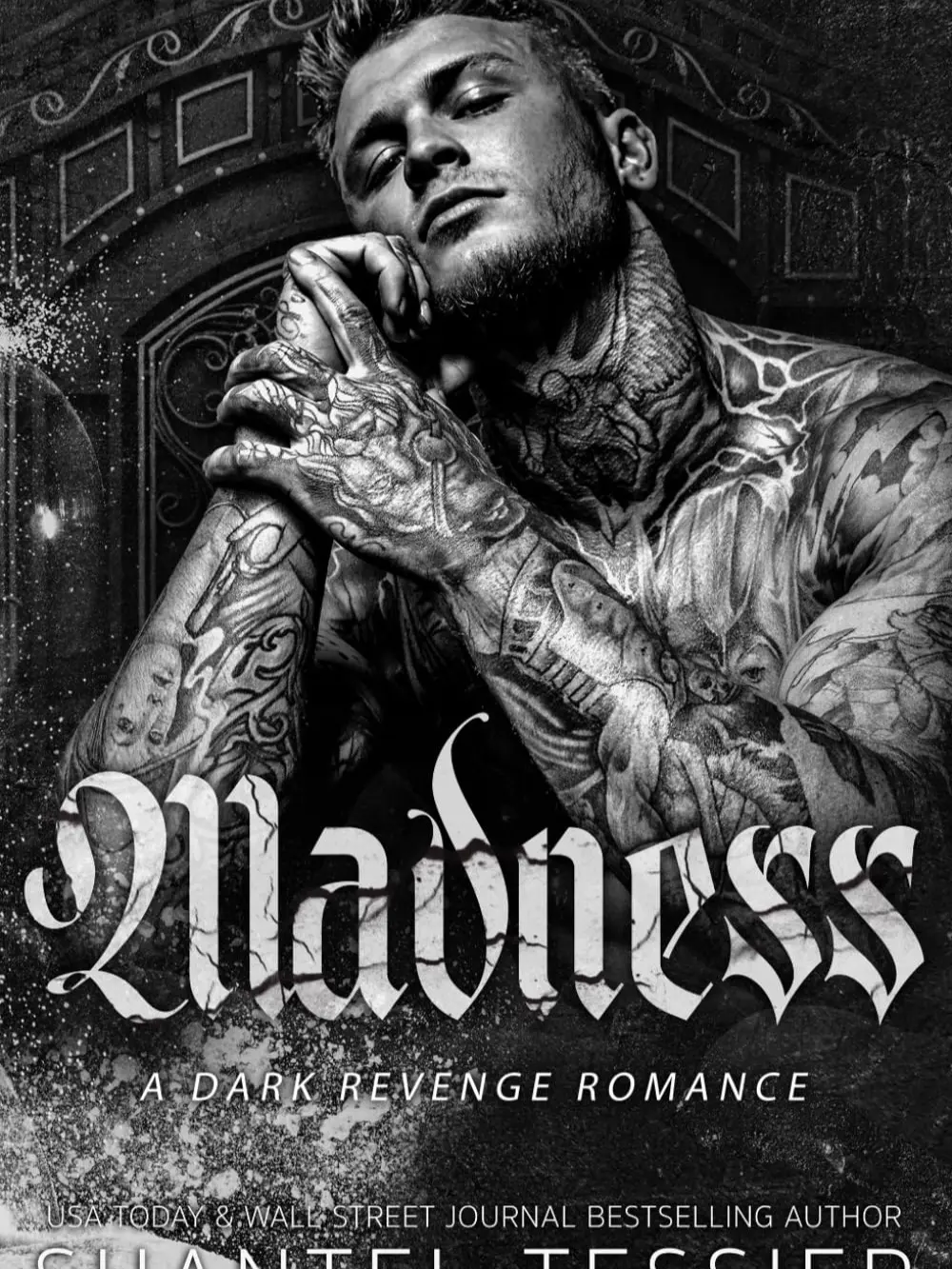 Madness: A Dark Revenge Romance Paperback – 29 Aug. 2024 by Shantel Tessier (Author)
