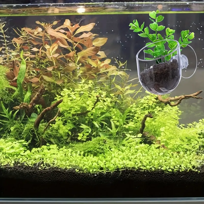 2pcs Red Worm Feeder, Aquarium Plant Pot, Plastic Fish Tank Plants Holder Aquarium Planter 5