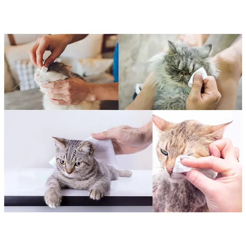 Pet Guru Dogs & Cats 100% Plastic Free Biodegradable Multi-Purpose Cleaning Pet Wipes Fiber Plant Based Alcohol Free Pet Dog Wipes 6