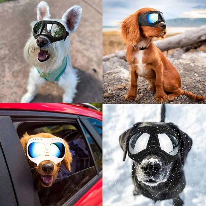 Soft Frame Puppy and Dog Glasses Goggles 4